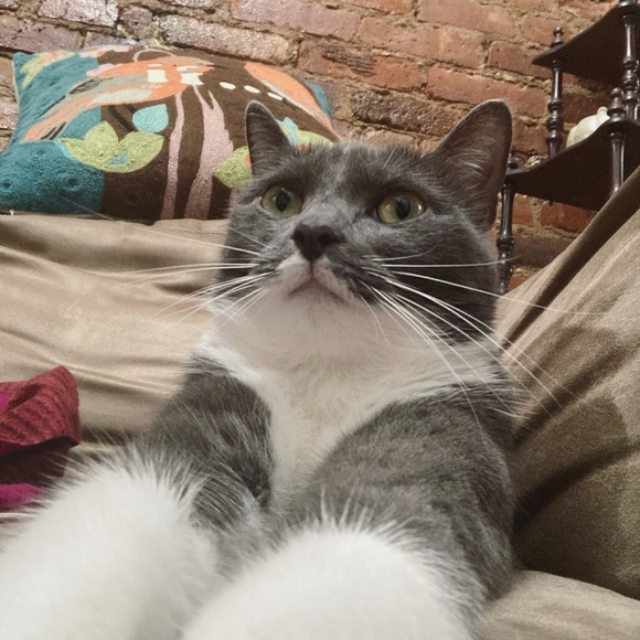 Meet your Posher, Yelle - Picture 5 of 9